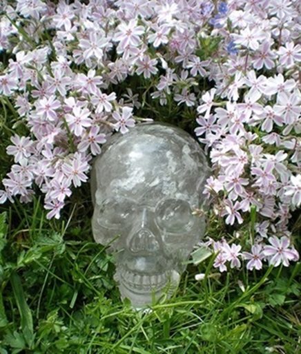 Bergkristall Kristallschädel Master of Healing Bergkristall Kristallschädel Master of Healing